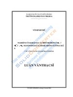 đồ án tốt nghiệp nghiên cứu khoảng cách bố trí hợp lý của neo trong đất cho hệ thống tườn