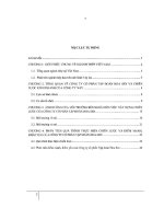 Tìm hiểu chiến lược phát triển và đưa ra điểm yếu, điểm mạnh của công ty cổ phần tập đoàn hoa sen