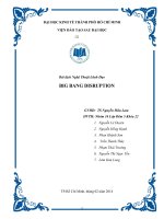 Tiểu luận môn học Nghệ thuật lãnh đạo chủ đề Big  Bang Disruption