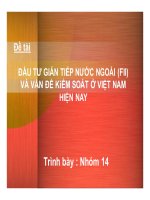 Thuyết trình Đầu tư gián tiếp nước ngoài (FII) và vấn đề kiểm soát ở Việt Nam hiện nay