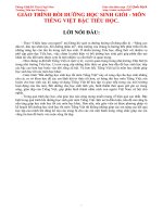 giáo trình bồi dưỡng học sinh giỏi môn tiếng việt lớp 5 tiểu học