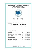 Tiểu luận hợp đồng lao động (pháp luật đại cương)