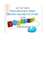 Tình hình phát triển thương mại điện tử ở việt nam