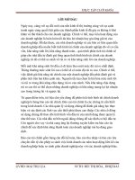 Đồ Án Tốt Nghiệp - Phân Tích Tình Hình Tài Chính Và Các Giải Pháp Nhằm Tăng Cường Năng Lực Tài Chính Công Ty  TNHH Thiết Bị Y Tế Và Thương Mại Đạị Việt