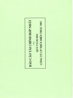 báo cáo tài chính hợp nhất quý 1 năm 2014 công ty cổ phần thủy điện thác mơ