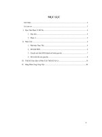 Phân tích thiết kế hệ thống quản lý bán hàng của công ty TNHH Tân Mai