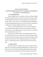 Báo cáo chuyên đề  giải pháp marketing nâng cao hiệu quả kinh doanh của công ty tân thành thái