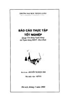 Thực tập tín dụng ngân hàng tại ngân hàng BIDV hòa bình