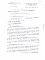 công ty cổ phần thép việt ý báo cáo thường niên 2013