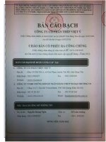 bản cáo bạch công ty cổ phần thép việt ý chào bán cổ phiếu ra công chúng năm 2012