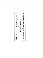 báo cáo tài chính hợp nhất quý 1 năm 2012 công ty cổ phần thủy điện thác mơ