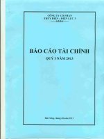 công ty cổ phần thủy điện điện lực 3 báo cáo tài chính quý 1 năm 2013