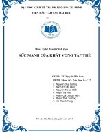 Tiểu luận môn nghệ thuật lãnh đạo SỨC MẠNH CỦA KHÁT VỌNG TẬP THỂ