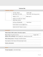 Mẫu CV tiếng anh ERP developer