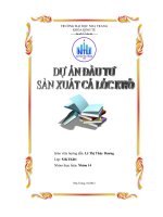 Dự án đầu tư sản xuất cá lóc khô.