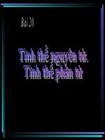 bài 20 tinh thể nguyên tử, tinh thể phân tử