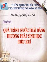 Bài tập lớn môn Công nghệ xử lý nước thải: QUÁ TRÌNH XỬ LÝ NƯỚC THẢI BẰNG  PHƯƠNG PHÁP SINH HỌC  HIẾU KHÍ
