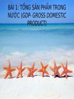 Kinh tế vĩ mô: GDP (nhóm I)