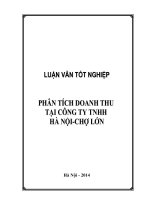Phân tích doanh thu tại công ty TNHH Hà Nội  Chợ Lớn