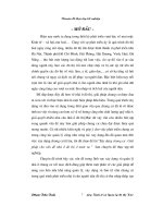 Xây dựng chung cư Giải pháp cho vấn đề nhà ở đô thị ở nước ta