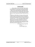 Thiết kế Tối ưu máy điện CS nhỏ