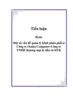 Một số vấn đề quản lý kênh phân phối ở công ty Osaka Computer thuộc công ty TNHH thương mại và đầu tư HTK