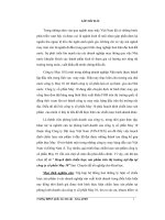 Hoạch định chiến lược sản phẩm trên thị trường nội địa tại công ty cổ phần may 10