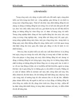 ĐỘNG CƠ RÔTO LỒNG SÓC