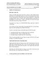 công ty cổ phần thép việt ý thuyết minh báo cáo tài chính cho kỳ báo cáo kết thúc ngày 30 tháng 9 năm 2010