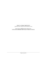 công ty cổ phần thép việt ý báo cáo tài chính đã được kiểm toán cho năm tài chính kết thúc 31 tháng 12 năm 2011