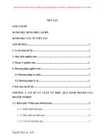 MỘT SỐ GIẢI PHÁP NÂNG CAO HIỆU QUẢ KINH DOANH TẠI CÔNG TY TNHH MTV DỊCH VỤ VICO VIỆT