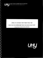 công ty cổ phần thủy điện thác mơ báo cáo tài chính hợp nhất đã được soát xét cho giai đoạn từ 1 tháng 1 năm 2012 đến 30 tháng 6 năm 2012