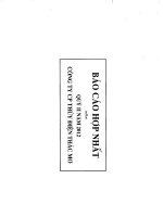 báo cáo hợp nhất quý 2 năm 2012 công ty cổ phần thủy điện thác mơ