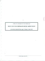 công ty cổ phần tư vấn sông đà báo cáo tài chính đã được kiểm toán cho năm tài chính kết thúc 31 tháng 12 năm 2013
