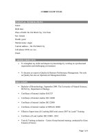 Mẫu CV bằng tiếng anh  trưởng phòng QA