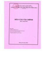 tổng công ty đầu tư phát triển đô thị và khu công nghiệp việt nam công ty cổ phần thủy điện srok phu miêng idico báo cáo tài chính quý 3 năm 2013