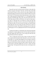 Phát triển đa dạng hóa sản phẩm ở công ty cơ khí hà nội