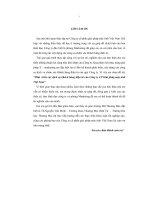 Phát triển các dịch vụ khách hàng điện tử của công ty cổ phần giải pháp máy tính Việt Nam