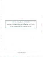 công ty cổ phần tư vấn sông đà báo cáo tài chính hợp nhất đã được kiểm toán cho năm tài chính kết thúc 31 tháng 12 năm 2013