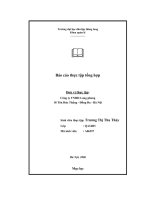 Báo cáo thực tập tổng hợp tại công ty TNHH Long Phong Hà Nội