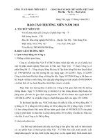 công ty cổ phần thép việt ý báo cáo thường niên 2011