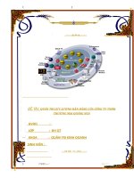 Đồ Án Tốt Nghiệp - Quản Trị Lực Lượng Bán Hàng Của Công Ty TNHH Thương Mại Quãng Ngà