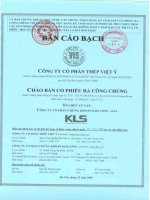 bản cáo bạch công ty cổ phần thép việt ý chào bán cổ phiếu ra công chúng năm 2009