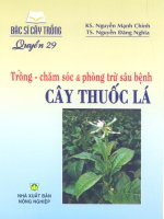 Bác sĩ cây trồng quyển 29 Câ thuốc lá