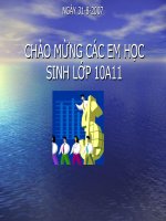 bài 33 axit sunfuric. muối sunfat