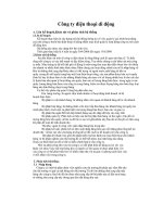 Hệ thống thông tin quản lý qui trình hoạt động của công ty điện thoại di động