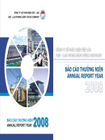 công ty cổ phần điện việt lào báo cáo thường niên 2008