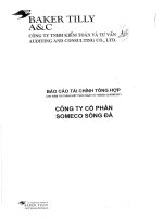 báo cáo tài chính tổng hợp cho năm tài chính kết thúc 31 tháng 12 năm 2011 công ty cổ phần someco sông đà