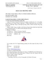 báo cáo thường niên 2010 công ty cổ phần someco sông đà