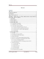 Định tuyến và gán bước sóng trong mạng quang WDM dựa trên kỹ thuật GMPLS